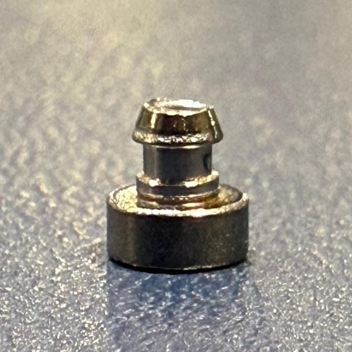 Vis (screw) DECORATIVE Casio G-SHOCK GW-7900 GW-7900-1 GW-7900B-1 GW-7900NV-2