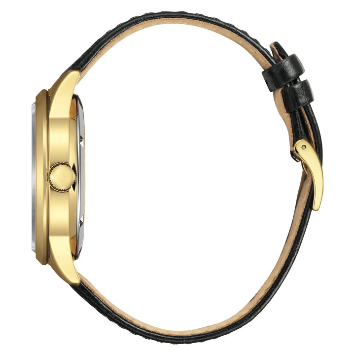 CITIZEN NY4059-09A Automatique