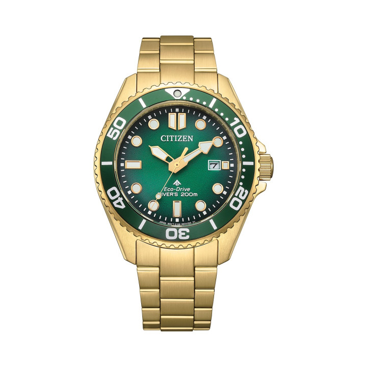 CITIZEN BN0262-59W Promaster Eco-Drive