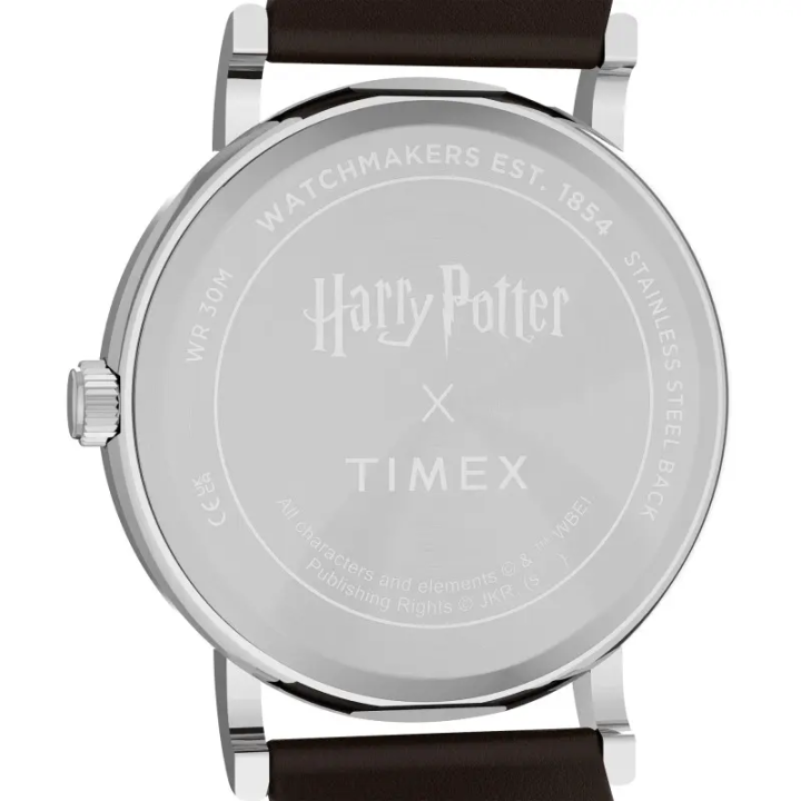 Montre Timex x Harry Potter Slytherin 38mm | TW2Y76400