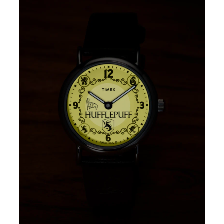 Montre Timex x Harry Potter Poufsouffle 38mm | TW2Y76600