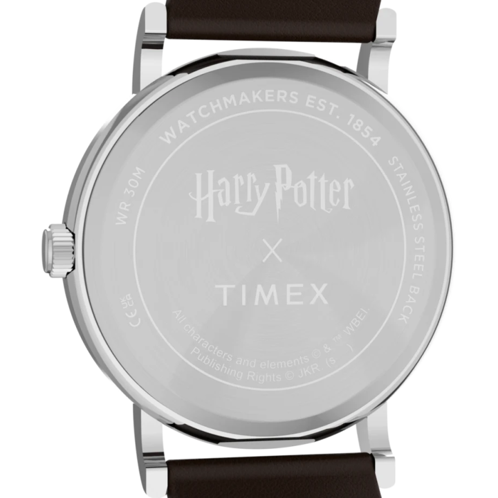 Montre Timex x Harry Potter Poufsouffle 38mm | TW2Y76600
