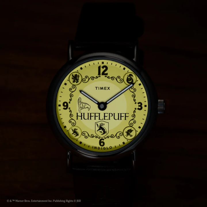 Montre Timex x Harry Potter Poufsouffle 38mm | TW2Y76600