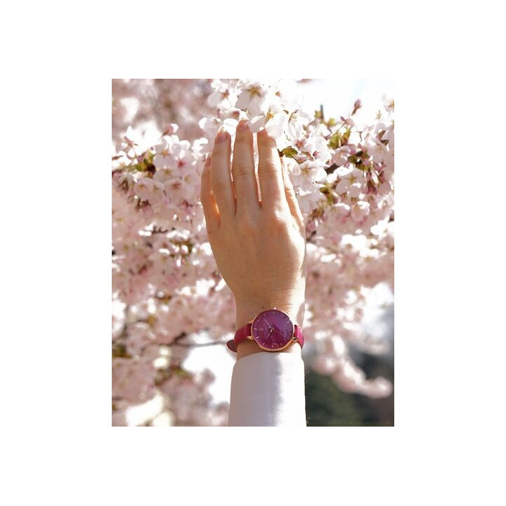 Pierre Lannier 001H955